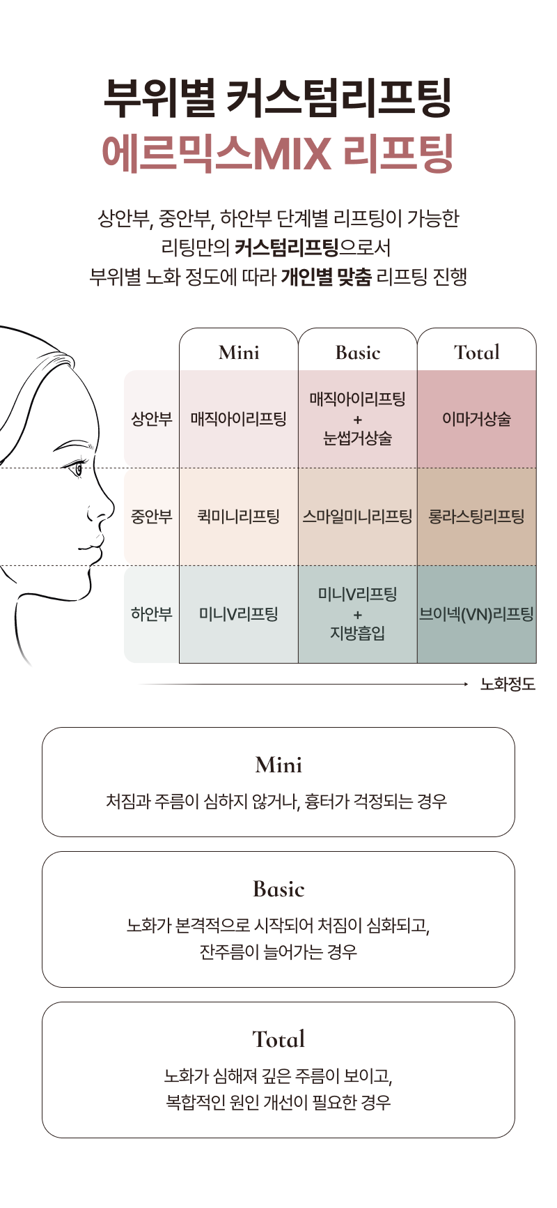 부위별 커스텀리프팅 에르믹스